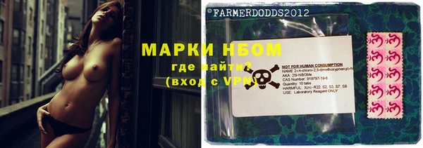 ешки Арсеньев
