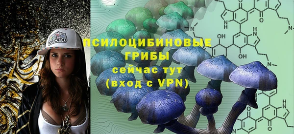 спиды Армянск