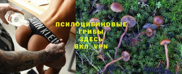 spice Няндома