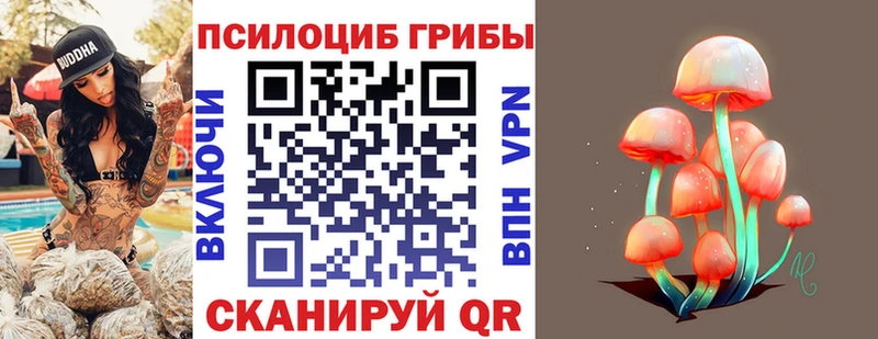 Псилоцибиновые грибы мицелий  Спас-Деменск 