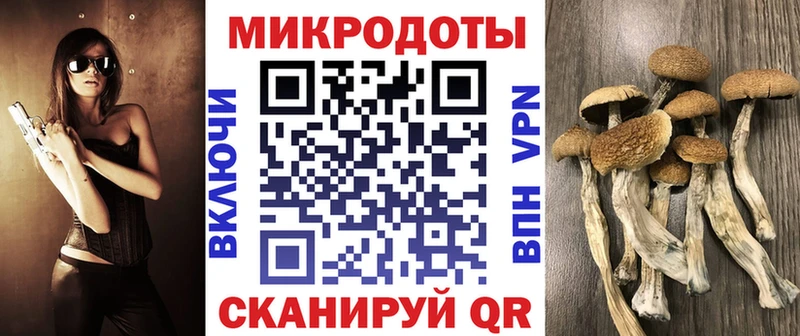 Галлюциногенные грибы прущие грибы Спас-Деменск